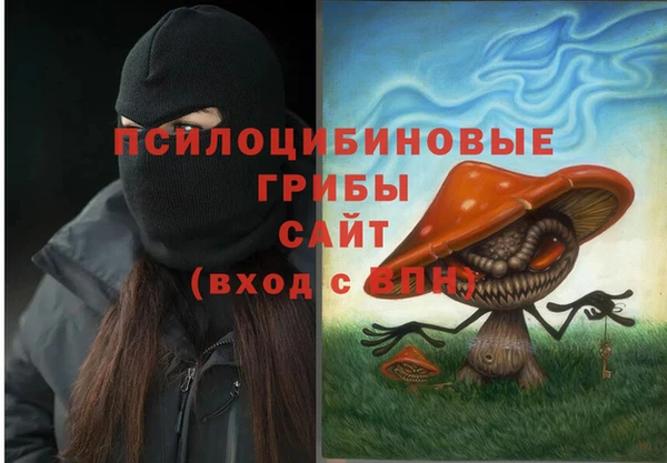 индика Остров